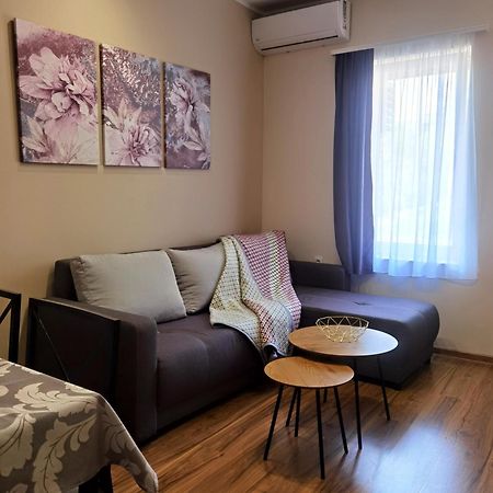 Stefan Suite Belgrade Center Apartment Zewnętrze zdjęcie